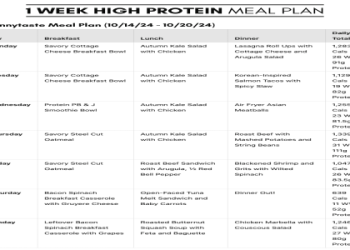example weight watchers daily menu