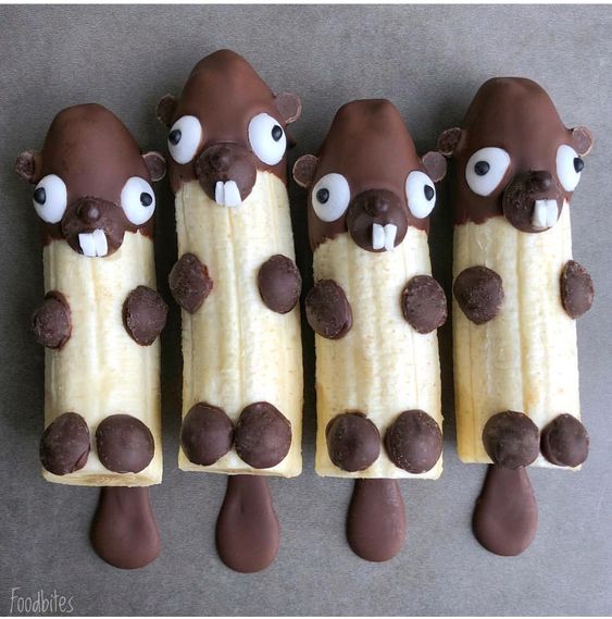 food creations for you