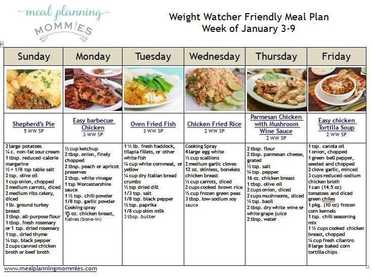 example weight watchers daily menu