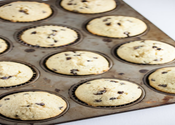 Chocolate-Hazelnut Ice Cream Cupcakes with Toasted Coconut Crust