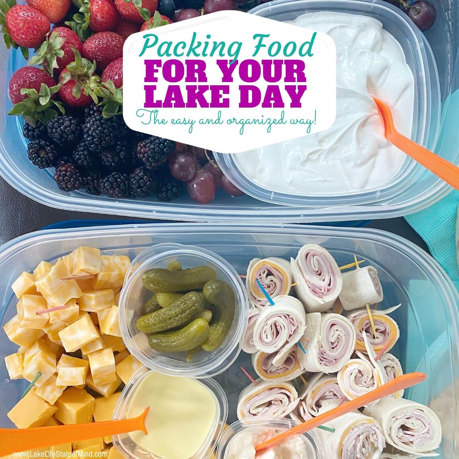 lunch at the lake ideas