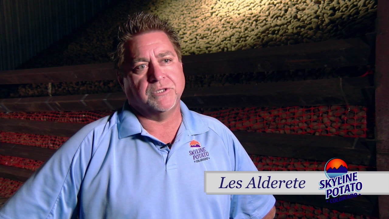 skyline potato center co