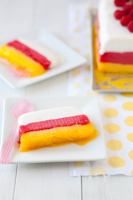 Colorful Layered Tropical Ice Cream Terrine