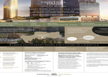 skyline potato center co