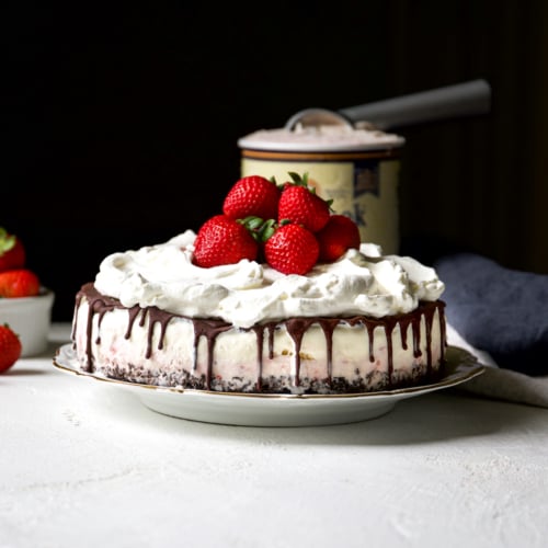 Vibrant Layered Neapolitan Ice Cream Cake with Whipped Chocolate Frosting