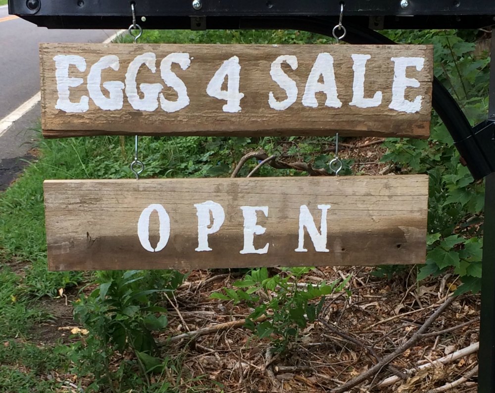 eggs for sale sign ideas