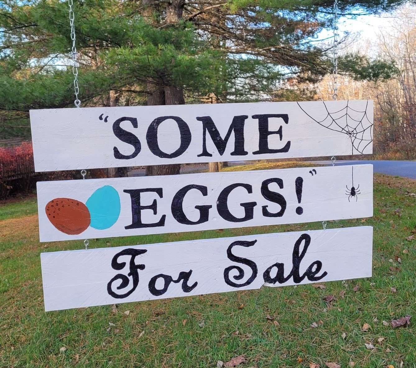 eggs for sale sign ideas