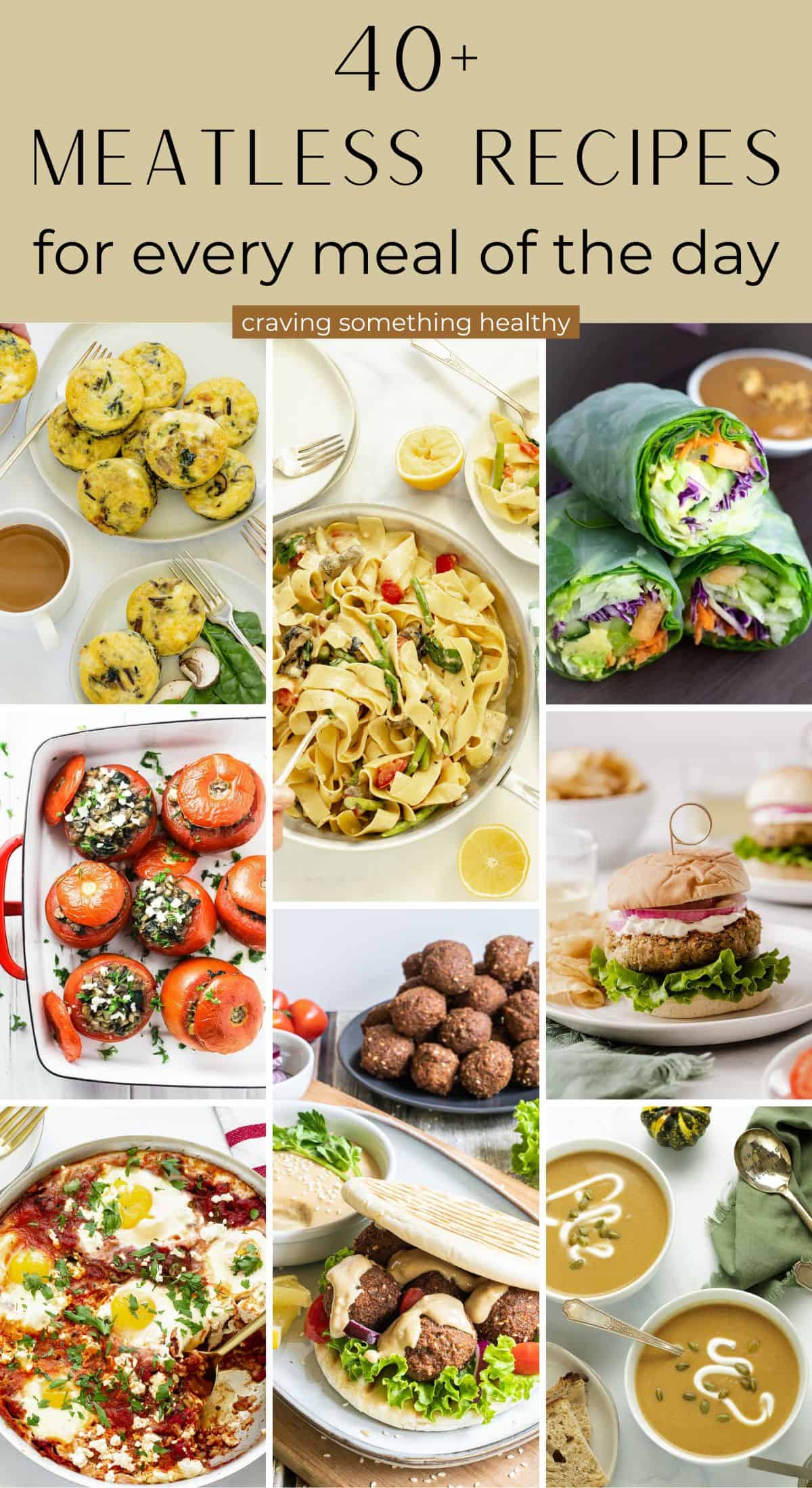 daily meals recipes