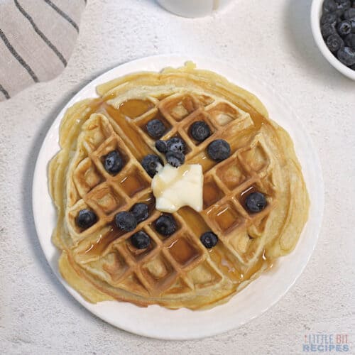 single waffle recipe