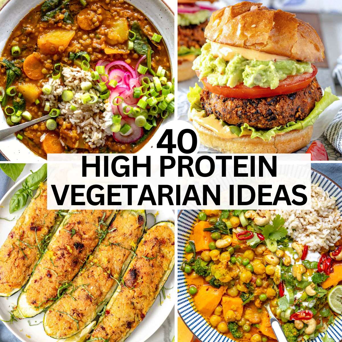 vegetarian protein recipes