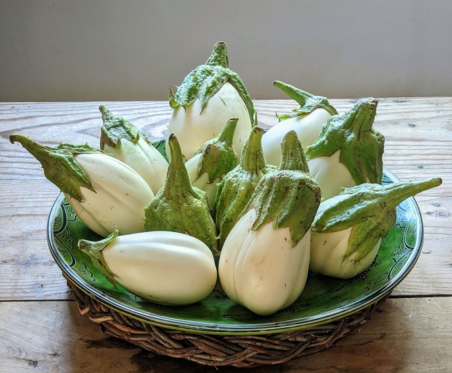 white eggplant recipes