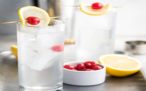 vodka collins recipe