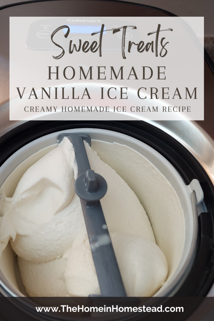 vanilla ice cream maker recipes